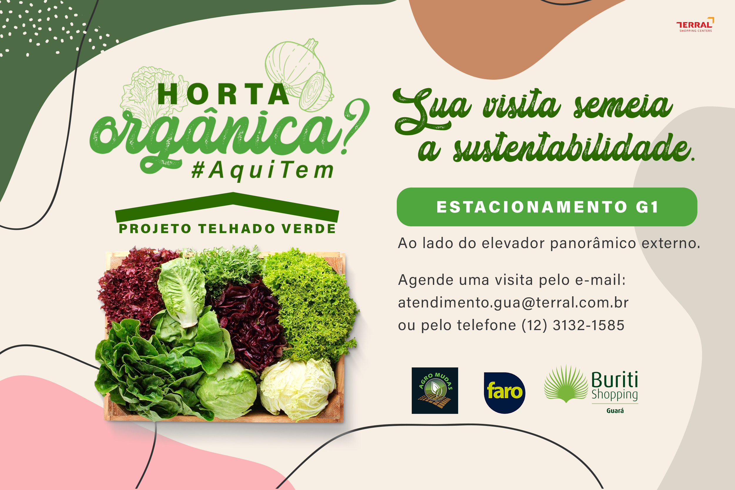 Horta orgânica no Buriti Guará!